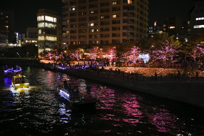 「目黒川みんなのイルミネーション2017」開催、42万個以上のLEDで"冬の桜"演出｜写真2