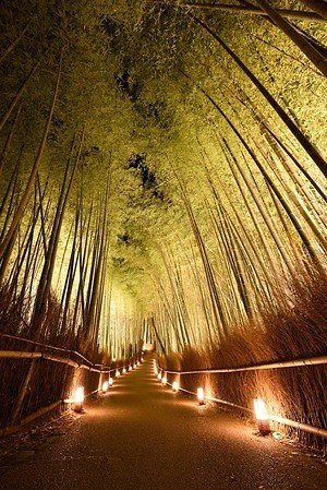 京都 花灯路 嵯峨 嵐山エリア 東山エリアで開催 渡月橋や竹林の小径をライトアップ ファッションプレス