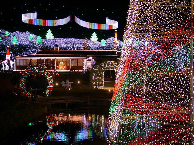 栃木・あしかがフラワーパークのイルミネーション「光の花の庭～フラワーファンタジー2017～」｜写真11