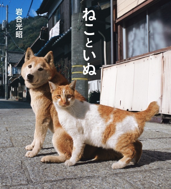 岩合光昭写真展「ねこといぬ」西武池袋本店で、18年戌年にちなみネコとイヌが仲良くコラボ｜写真5