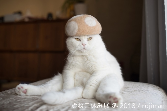 「ねこ休み展 冬 2018」が東京・浅草橋で - 350点以上の作品展示ほかオリジナルグッズも｜写真22