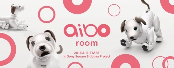 ペットロボ「アイボ」が渋谷に登場、愛くるしい声や動きをいち早く体感できる"アイボ ルーム"｜写真4