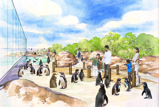 上越市立水族博物館「うみがたり」2018年6月新潟にオープン、日本海を一望できる大水槽など｜写真3