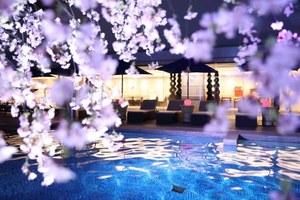 Sakuraナイトプール 神戸みなと温泉 蓮で 桜と絶景を眺めながら大人の花見パーティー ファッションプレス