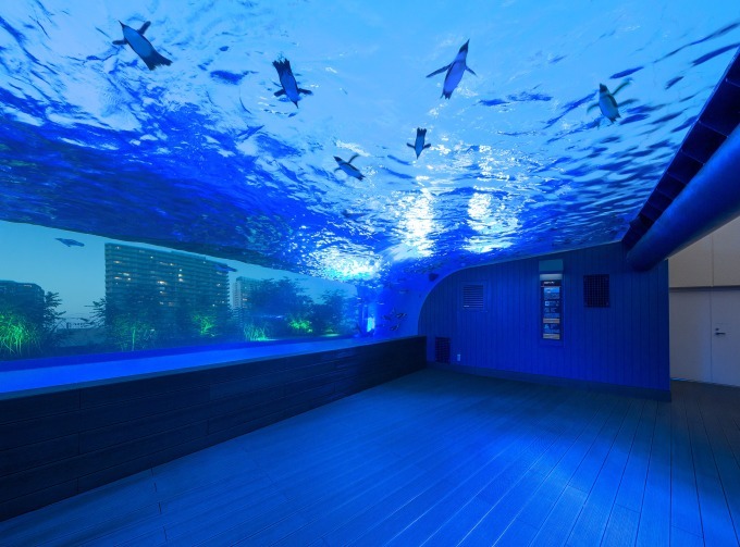 池袋・サンシャインシティの「ムーンライトシティ」都会の夜景を楽しむレストランや水族館イルミネーション｜写真20