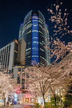 六本木ヒルズ 春まつり 18 約90本の桜ライトアップや 天空の花見 グルメ屋台も ファッションプレス