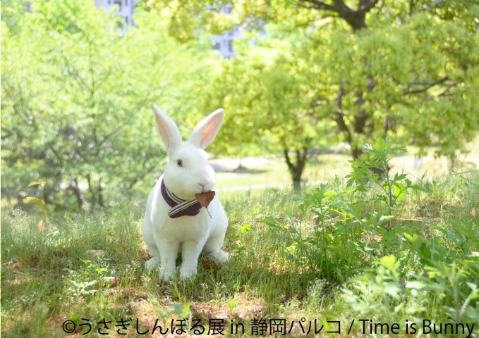 「うさぎしんぼる展」静岡パルコに巡回、うさぎの写真やグッズ集結&『ピーターラビット』コラボブースも｜写真3