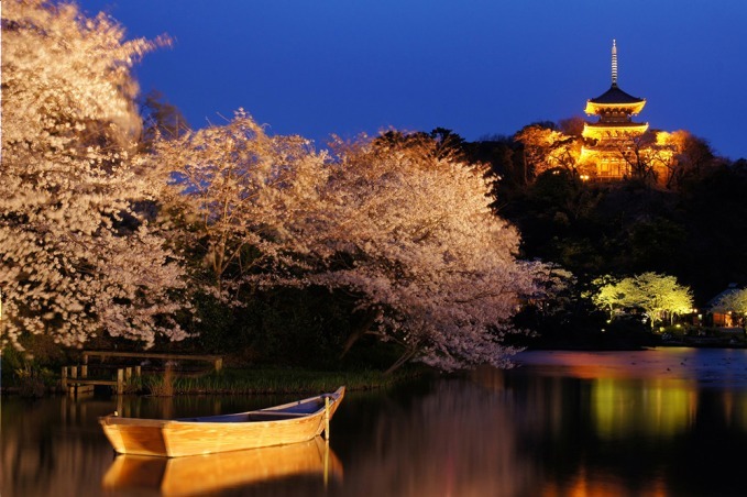 横浜 三溪園で 観桜の夕べ 開催 ライトアップされた三重塔を背景に夜桜を楽しむ ファッションプレス