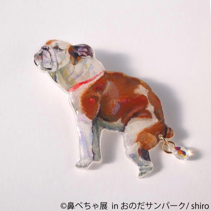 「鼻ぺちゃ展」が山口に初巡回 - パグやシーズーなど、”鼻ぺちゃ犬”の写真＆グッズが集結｜写真19