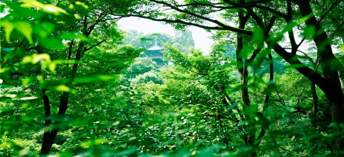 ホテル椿山荘東京「ベジタブルアフタヌーンティー」新緑の庭園を眺めながら野菜尽くしメニューを堪能｜写真5