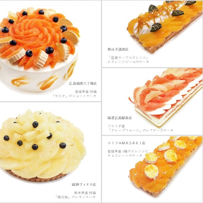 カフェコムサから「オレンジの日」限定ケーキ、"33店舗別"の個性溢れる柑橘スイーツ｜写真9