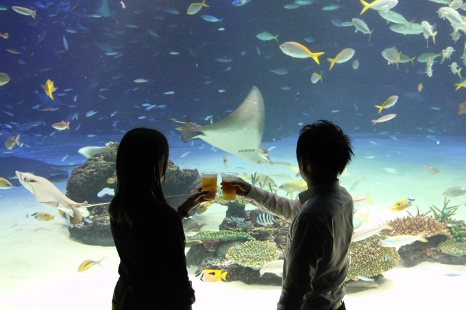 池袋サンシャイン水族館の「缶つまナイト」海の生き物を眺めながらアルコールとおつまみで乾杯｜写真2