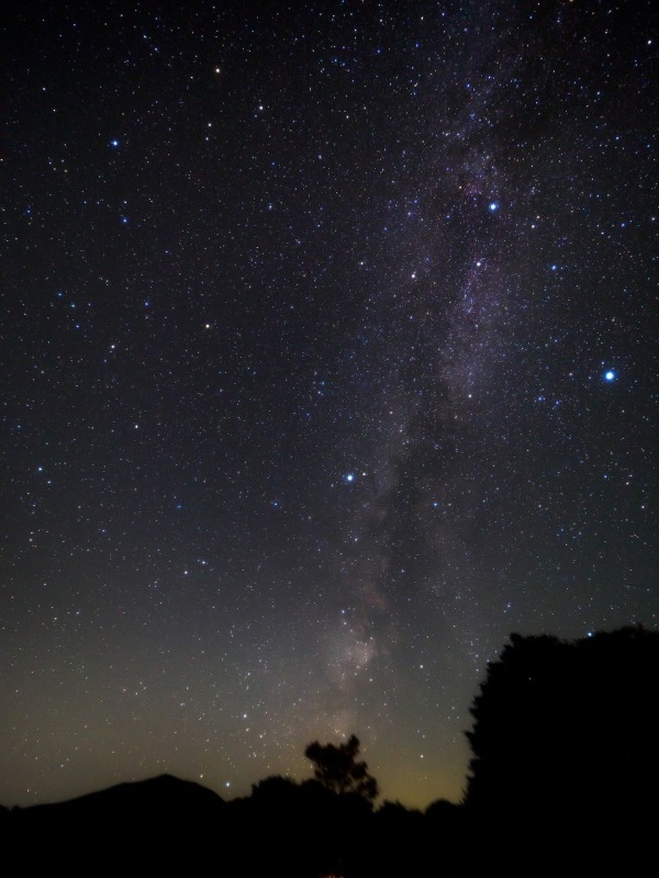 サンシャインシティの七夕イベント - 七夕限定星空ゼリーソーダの販売など｜写真1