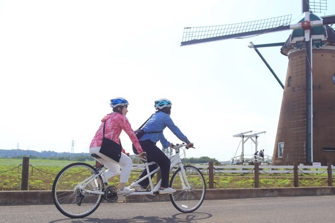 「風車のひまわりガーデン」夕焼けをバックに楽しむ絶景ひまわり畑、千葉・佐倉ふるさと広場｜写真5