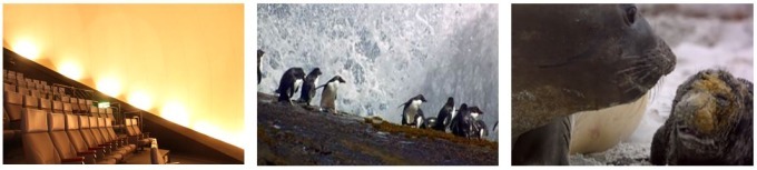 八景島シーパラダイスがリニューアル、国内最大水族館に海と水辺・森の生き物たちに出会える新エリアなど｜写真13