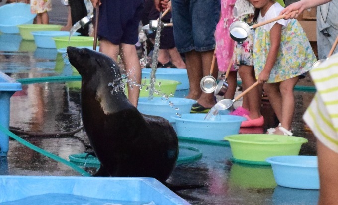 東武動物公園の夜間イベント「サマーナイトZOO」夜の乗馬体験＆蛍鑑賞、花火と共に楽しむビールも｜写真6