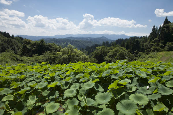 「大地の芸術祭 越後妻有アートトリエンナーレ 2018」新潟で、地域密着型アートが集結｜写真1