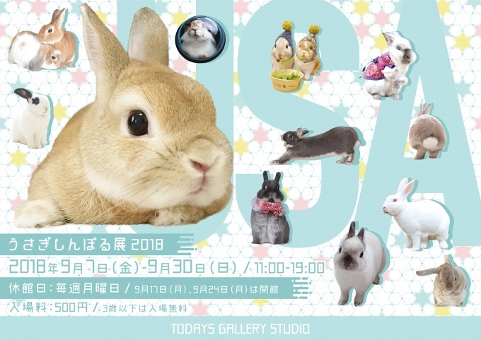 「うさぎしんぼる展 2018」東京＆名古屋で、うさぎの写真＆グッズ計1,000点以上を展示販売｜写真13