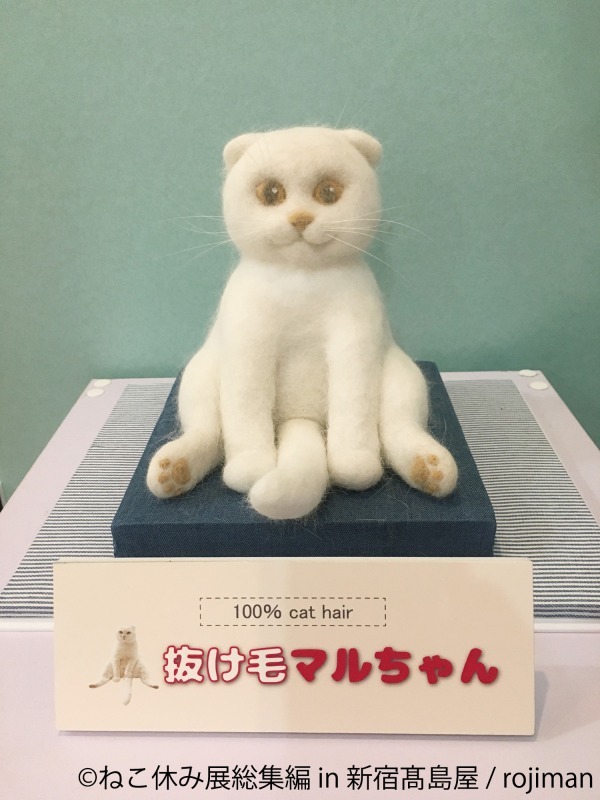 「ねこ休み展 総集編 in 新宿高島屋」懐かしの名作写真が集結、超巨⼤ぬいぐるみも｜写真26