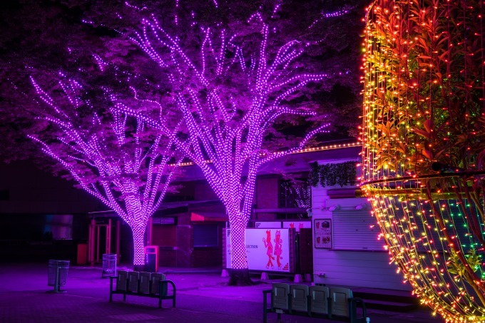 大井競馬場で「TOKYO MEGA ILLUMINATION」開催、関東最大級の約800万球規模｜写真40