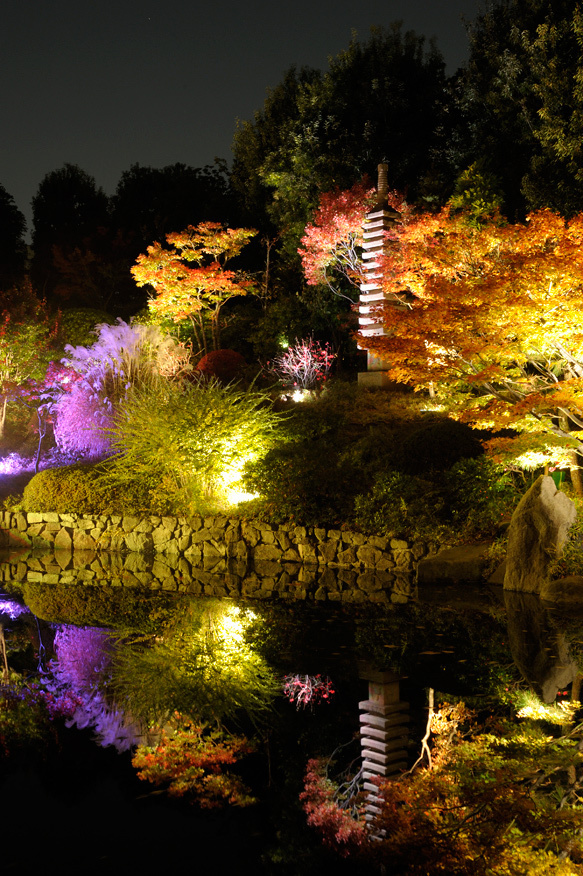 「秋の庭園ライトアップ」東京・目白庭園で、モミジが池に映り込む幻想的な"鏡映し"｜写真4