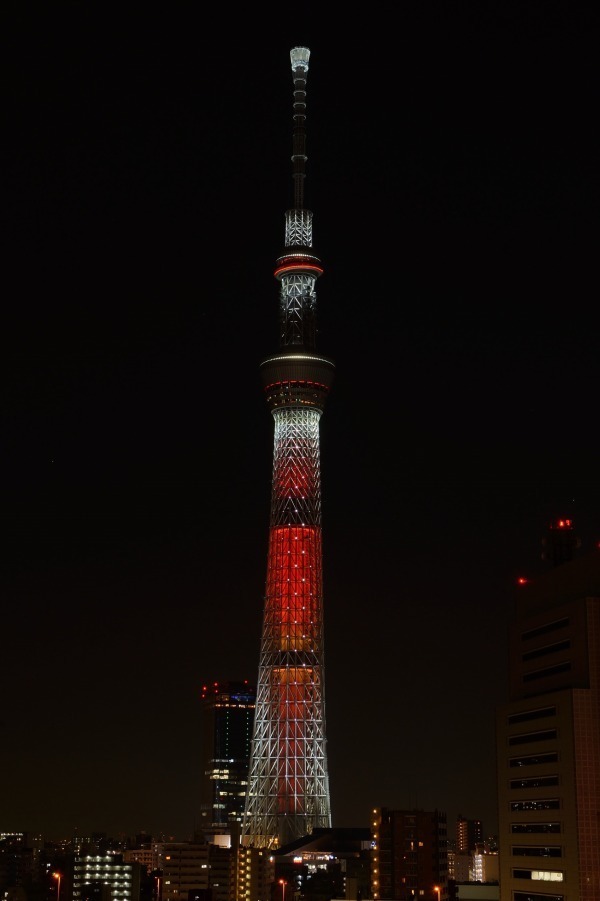 東京スカイツリータウンのクリスマス - “花”のクリスマスツリー点灯やプロジェクションマッピング｜写真4