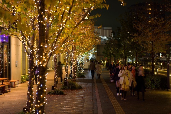 東京スカイツリータウンのクリスマス - “花”のクリスマスツリー点灯やプロジェクションマッピング｜写真5