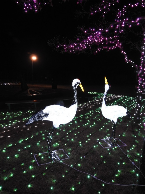 東武動物公園のウィンターイルミネーション、初の“劇場型”プロジェクションマッピングも｜写真5