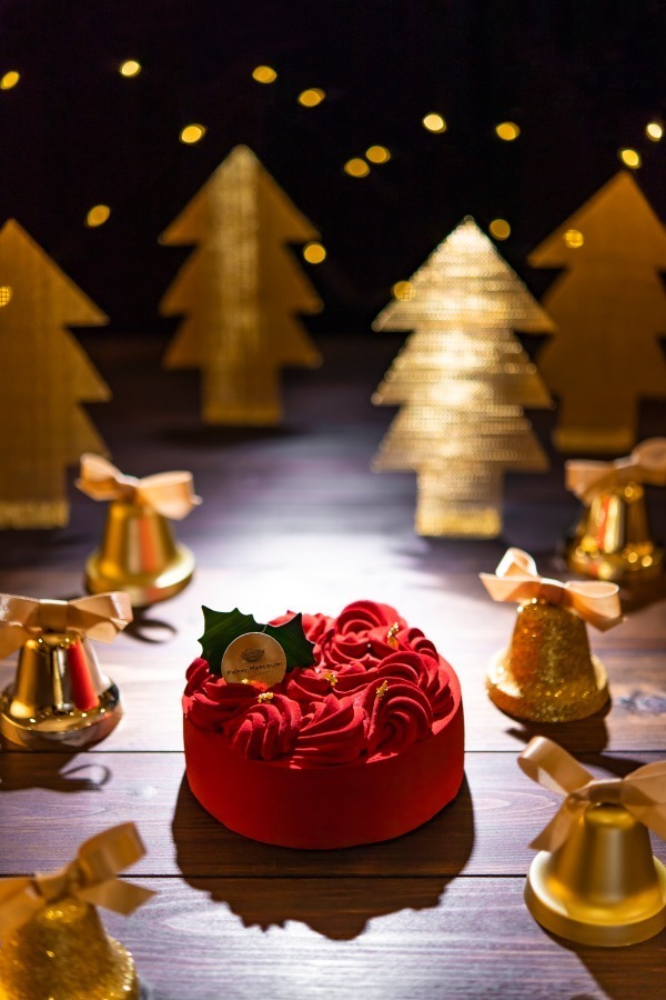 ピエール マルコリーニのクリスマスケーキ ビターチョコムース 赤い果実の華やかなケーキなど ファッションプレス