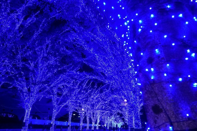 写真16 21 青の洞窟 Shibuya 渋谷公園通り 代々木公園ケヤキ並木が青一色に染まる ファッションプレス