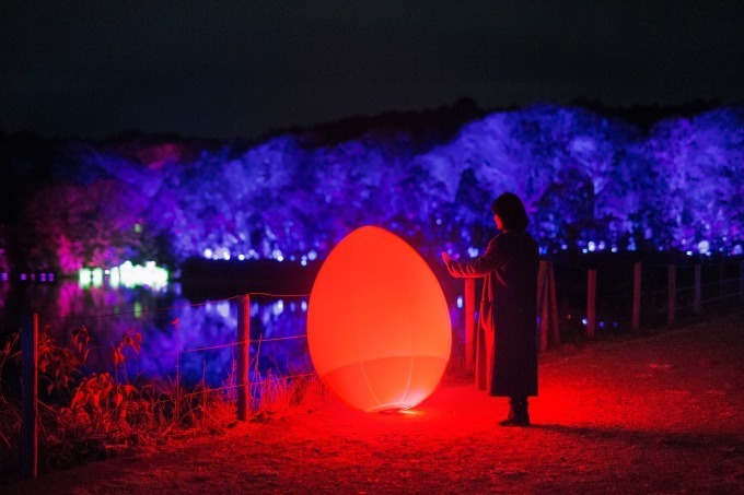 「チームラボ 森と湖の光の祭」ムーミンの世界を体験できるテーマパーク内「メッツァビレッジ」で開催｜写真14