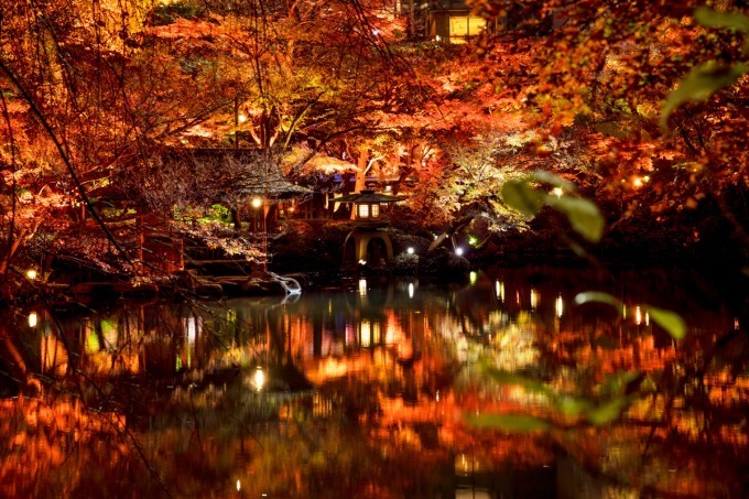 東京 白金台の八芳園 赤に染める秋の紅葉ライトアップ 庭園内に限定バー 茶屋もオープン ファッションプレス