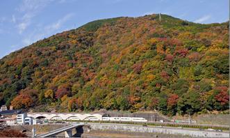 【箱根観光】2018紅葉スポット紹介 - 箱根で一番と言われる名所・箱根美術館など｜写真3