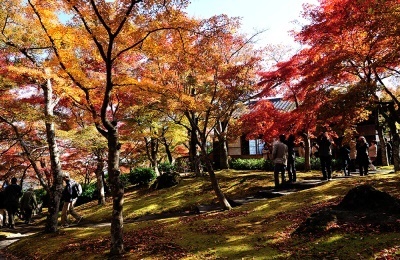 【箱根観光】2018紅葉スポット紹介 - 箱根で一番と言われる名所・箱根美術館など｜写真9