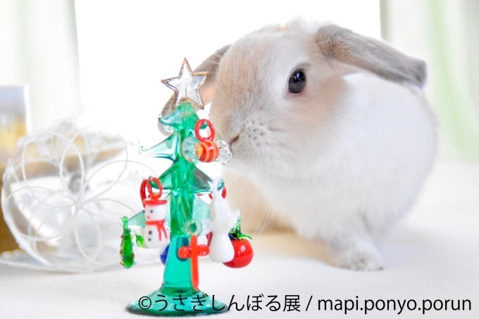 合同写真＆物販展「うさぎしんぼる展 in カレッタ汐留」過去最大250点以上、クリスマス仕様の新作も｜写真3