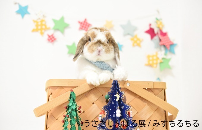 合同写真＆物販展「うさぎしんぼる展 in カレッタ汐留」過去最大250点以上、クリスマス仕様の新作も｜写真11