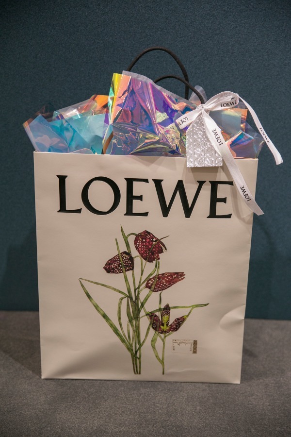 ロエベ(LOEWE) ゲート｜写真24