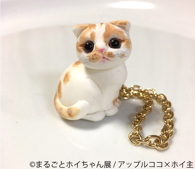 「ねこ休み展」初の単独展「まるごとホイちゃん展」ルクア大阪で、人気猫“ホイちゃん”にフォーカス｜写真15