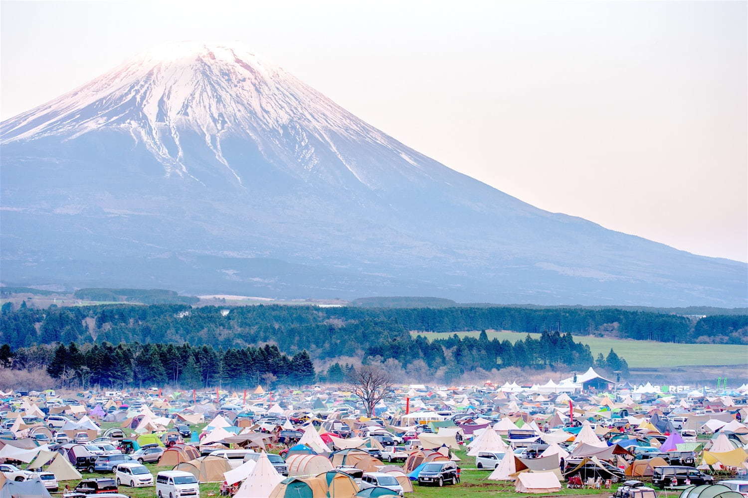 キャンプフェス「GO OUT JAMBOREE」静岡で、アーティストライブ＆野外映画上映会｜写真27