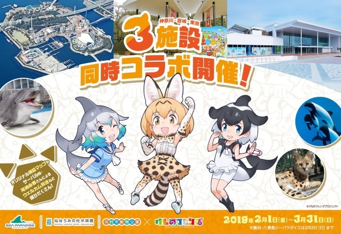 『けものフレンズ』八景島シーパラダイス・仙台うみの杜水族館・羽村市動物公園でコラボイベント｜写真10