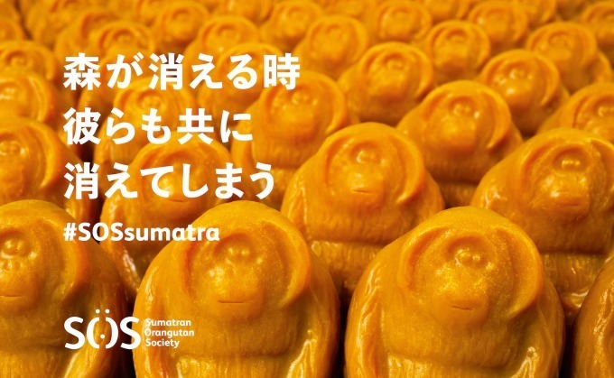 ラッシュ(LUSH) オランウータン ソープ｜写真2