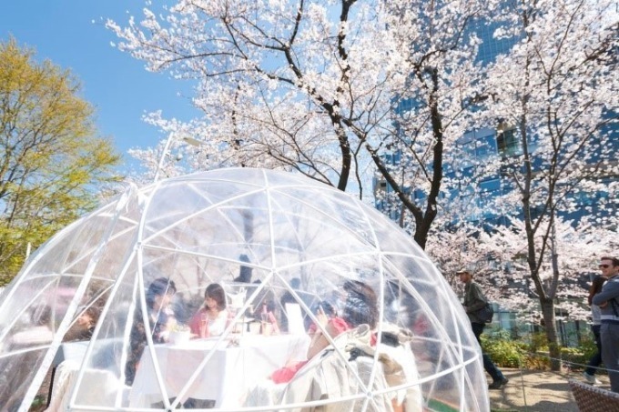 東京ミッドタウンの花見イベント「ミッドタウン・ブロッサム」お酒と桜を楽しめる屋外ラウンジも｜写真14