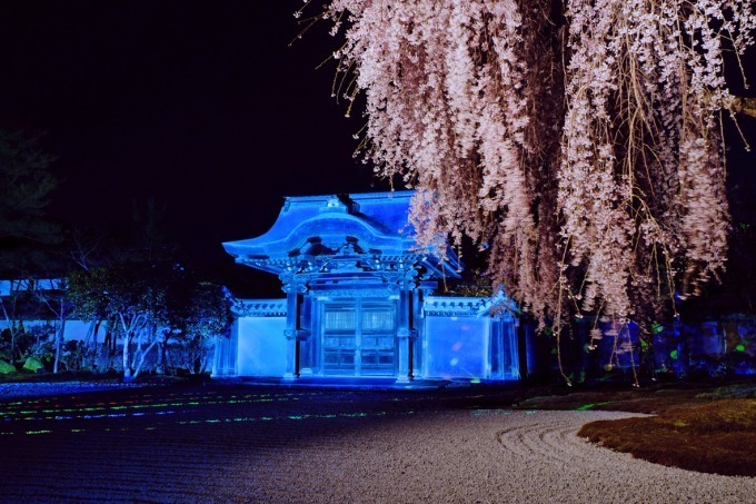 写真提供：高台寺