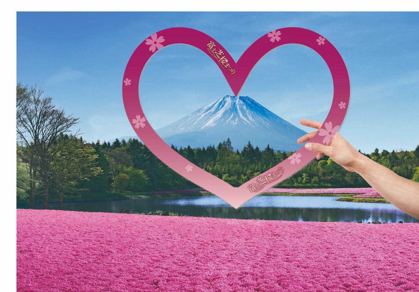 写真2 11 富士芝桜まつり 約52万株の芝桜が彩る一面ピンクの景色 ご当地b級グルメフェアも ファッションプレス