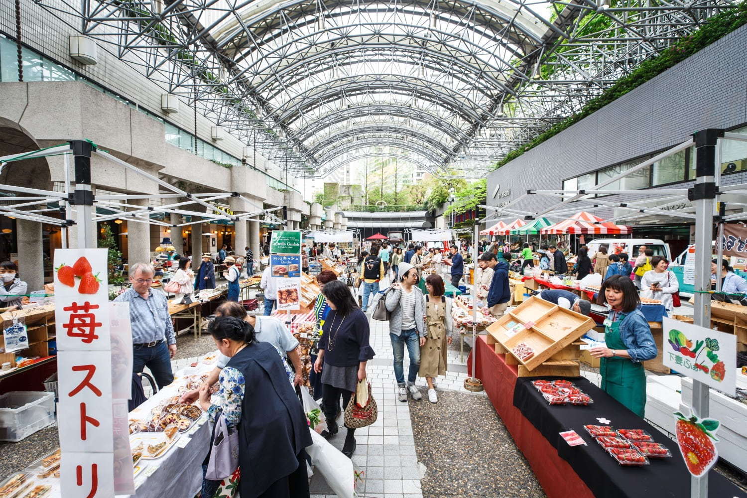 「ストロベリーフェスティバル」赤坂アークヒルズで、全国12種類の苺の食べ比べ＆限定スイーツなど｜写真10