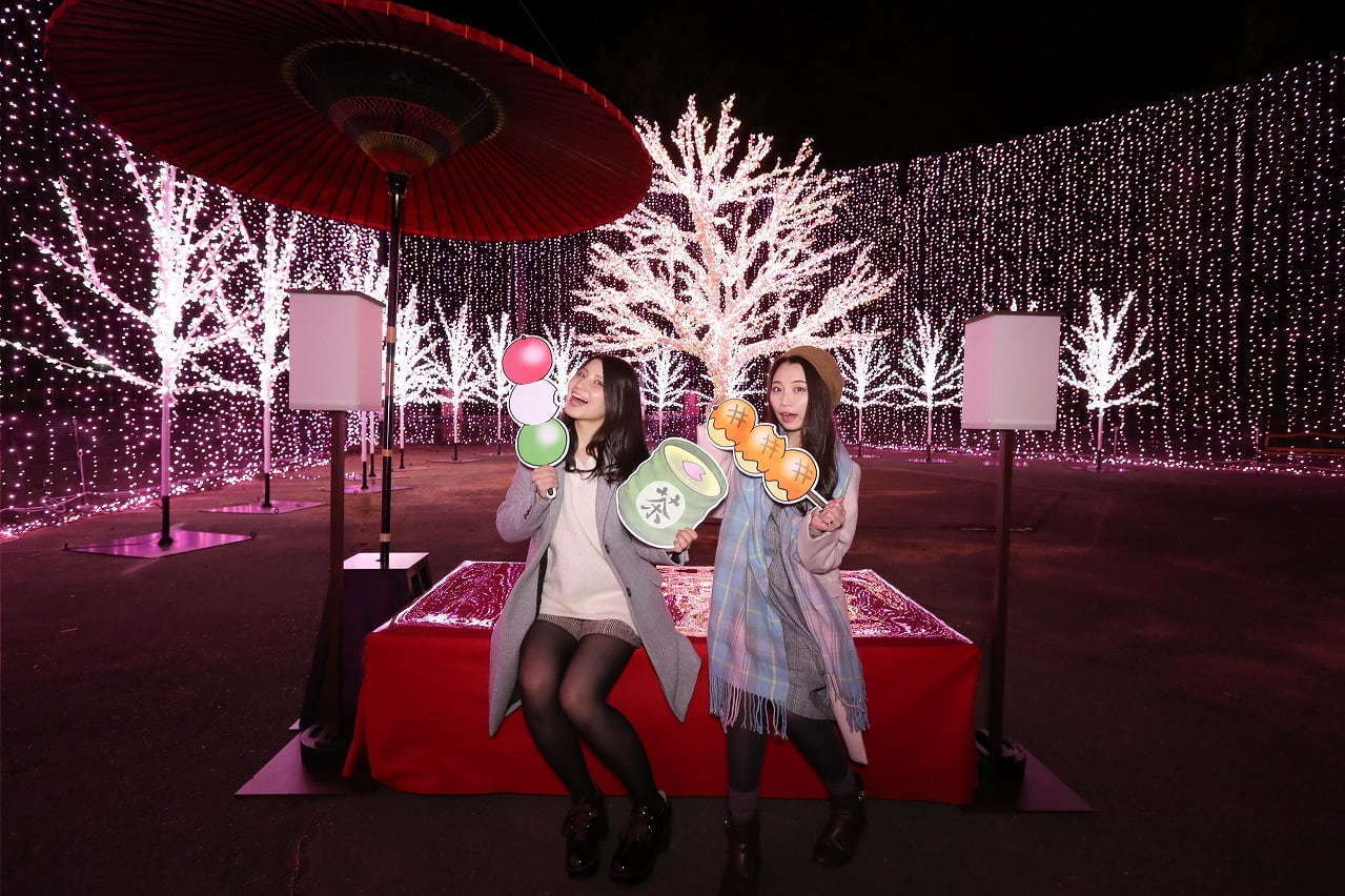 関東最大級2 500本の桜に包まれるお花見イベント さがみ湖桜まつり 夜桜 光の競演も ファッションプレス