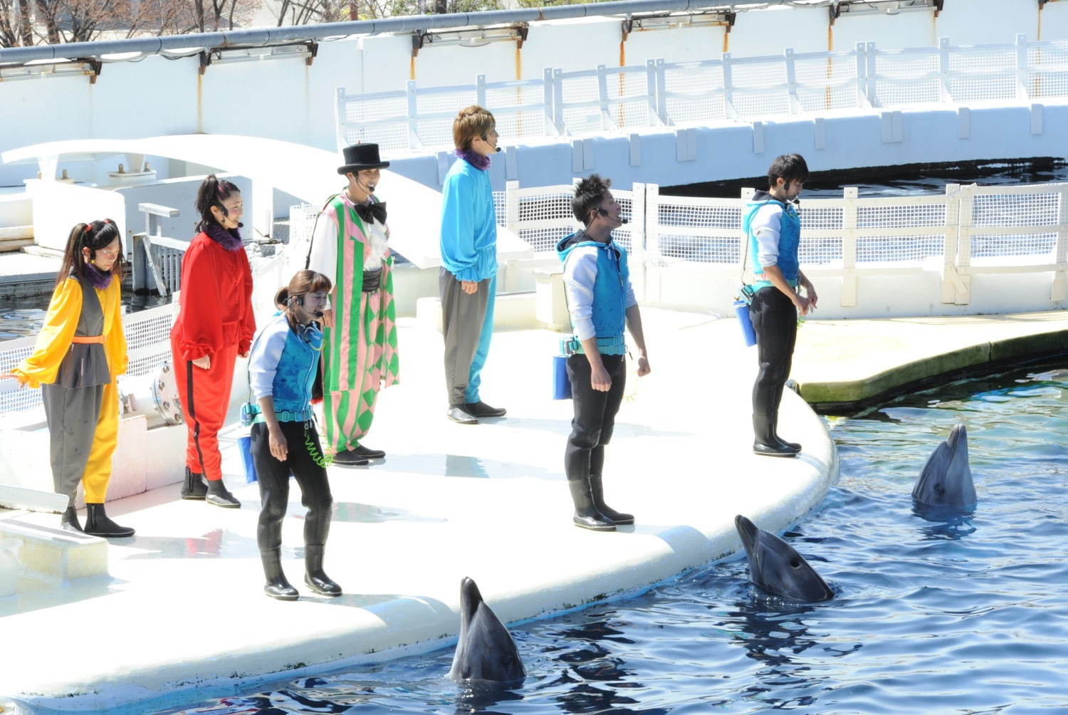 京都水族館 夜のすいぞくかん すやすや眠るペンギン観察 鮮やかなライトが彩る劇場型イルカショー ファッションプレス