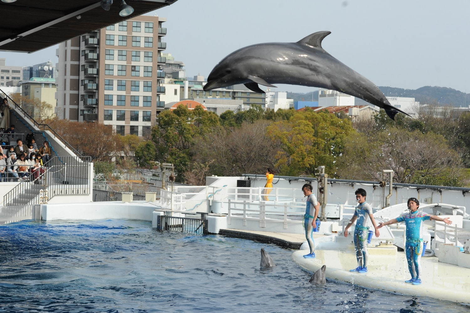 写真9 11 京都水族館 夜のすいぞくかん すやすや眠るペンギン観察 鮮やかなライトが彩る劇場型イルカショー ファッションプレス