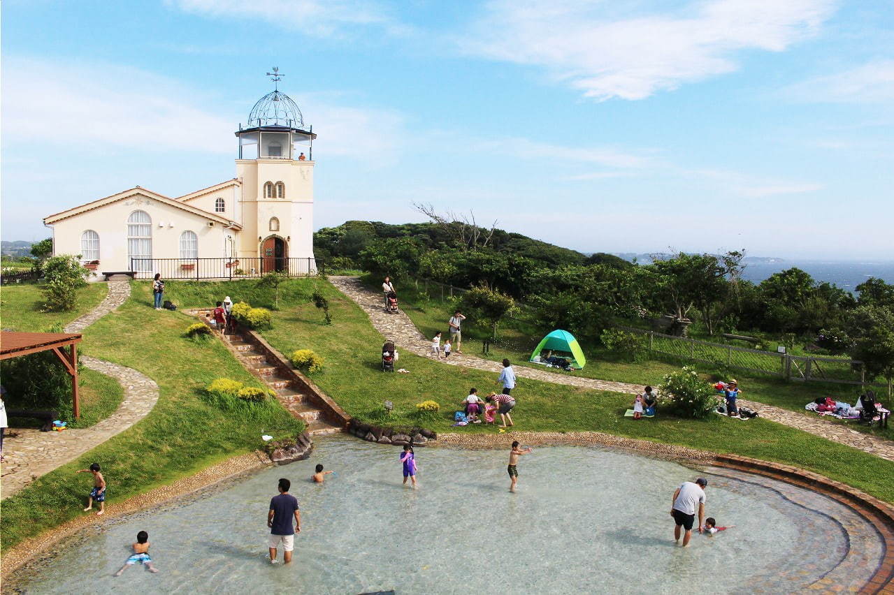 約10万本のヒマワリが開花！横須賀「ソレイユの丘」青い空と海、黄色のヒマワリが織りなす夏の絶景｜写真4