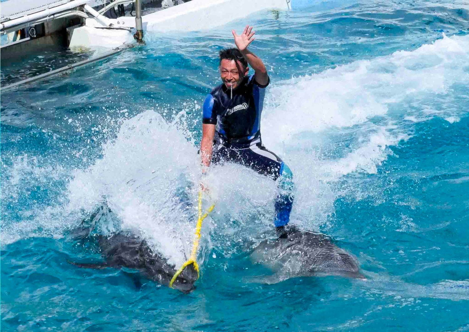 鴨川シ ワールドのサマーイベント シャチの ずぶ濡れ パフォーマンスや夜の水族館でお泊り ファッションプレス